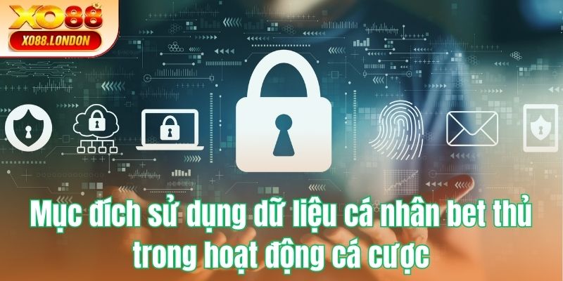 Mục đích sử dụng dữ liệu cá nhân bet thủ trong hoạt động cá cược