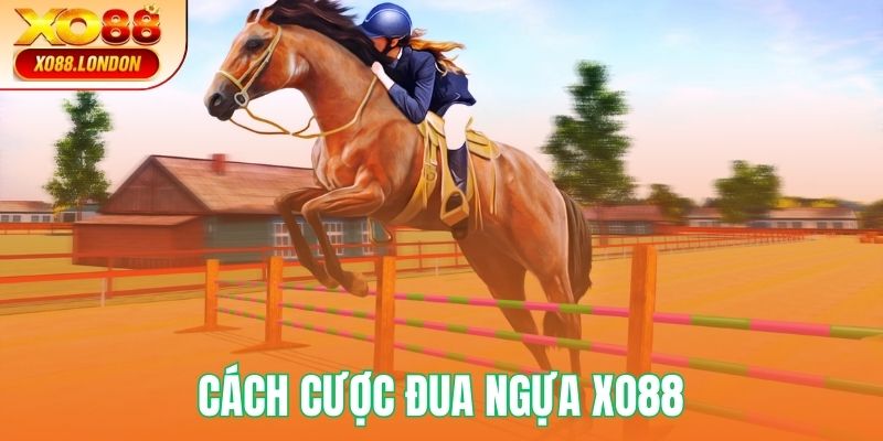 Cách cược đua ngựa XO88 chi tiết