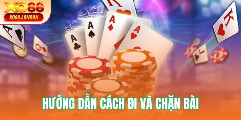 Hướng dẫn cách đi và chặn bài đúng luật 